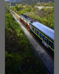 _DSC5447a
