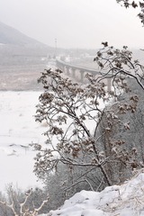 雪色 ......