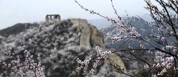 山花