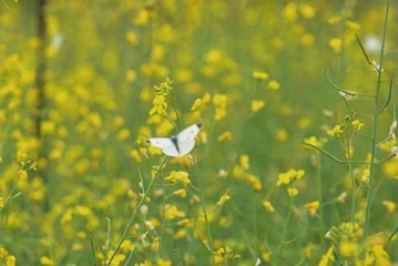 437F207D-A724-43CB-B79B-8DA6A1248812/L0/001