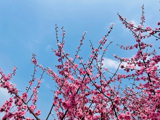 E2175E6F-61E0-493E-AB77-D8873A5C638E/L0/001