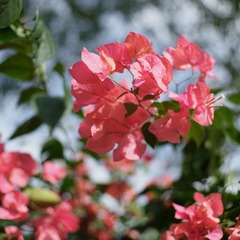 E1777D99-2148-428E-9AF8-BC1B5D0EF1DD/L0/001