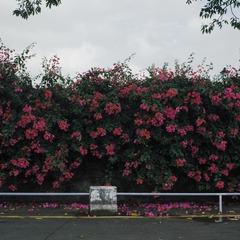 40390FD9-0FA0-40F3-AF99-33E6D88718E7/L0/001