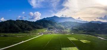 崇化