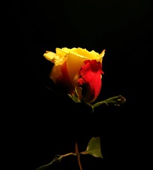 114053