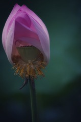 19046