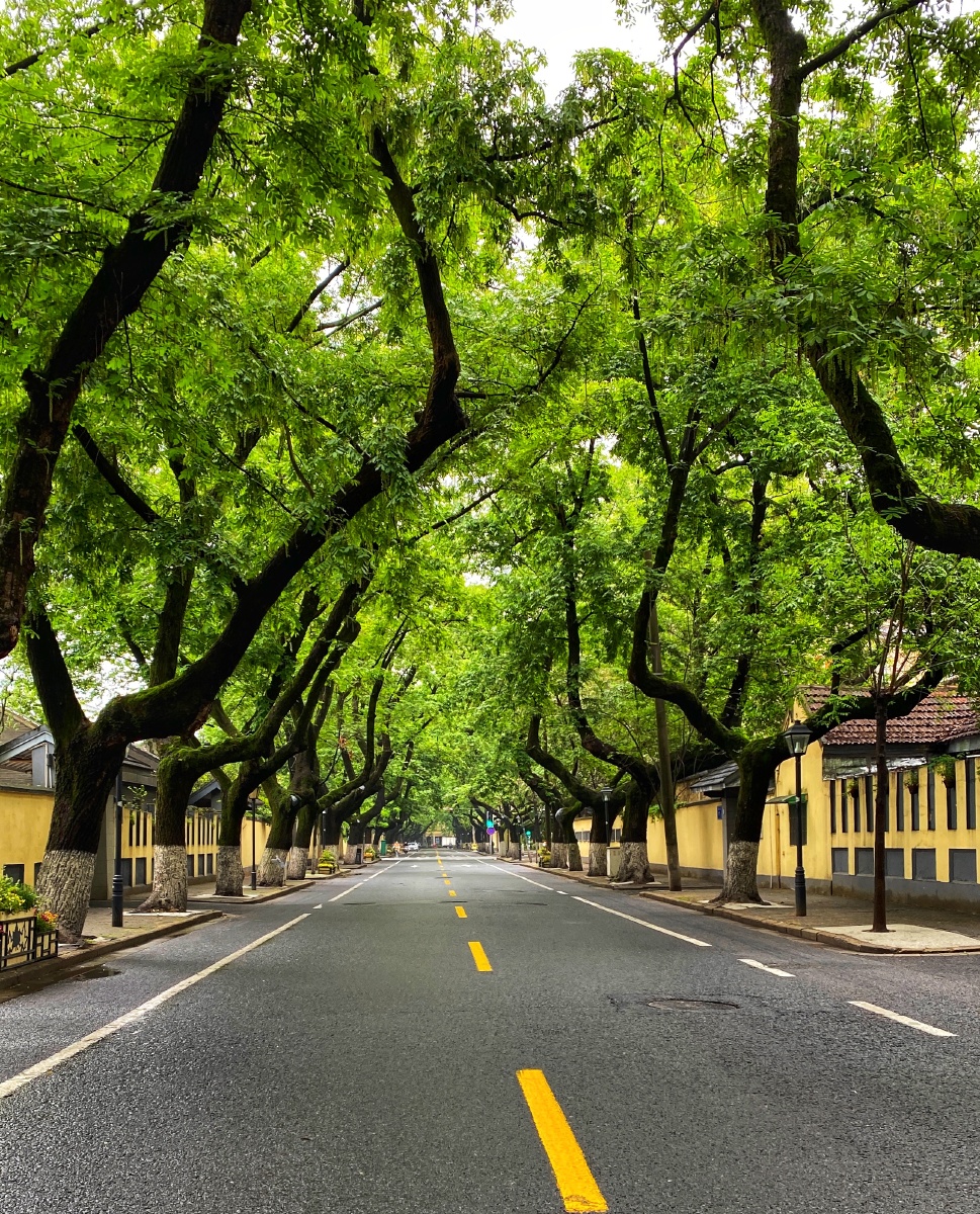 雨中颐和路