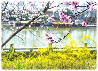 94817504-D59E-4410-B13E-39EF7CD21688/L0/001