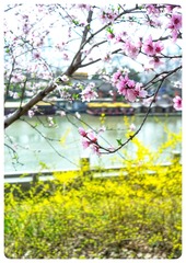 C49B5E03-CB76-4D3A-BC60-A2F832C33337/L0/001