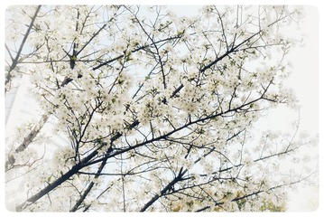 4C03B5FD-8EF6-44FF-8D21-4D1006455179/L0/001