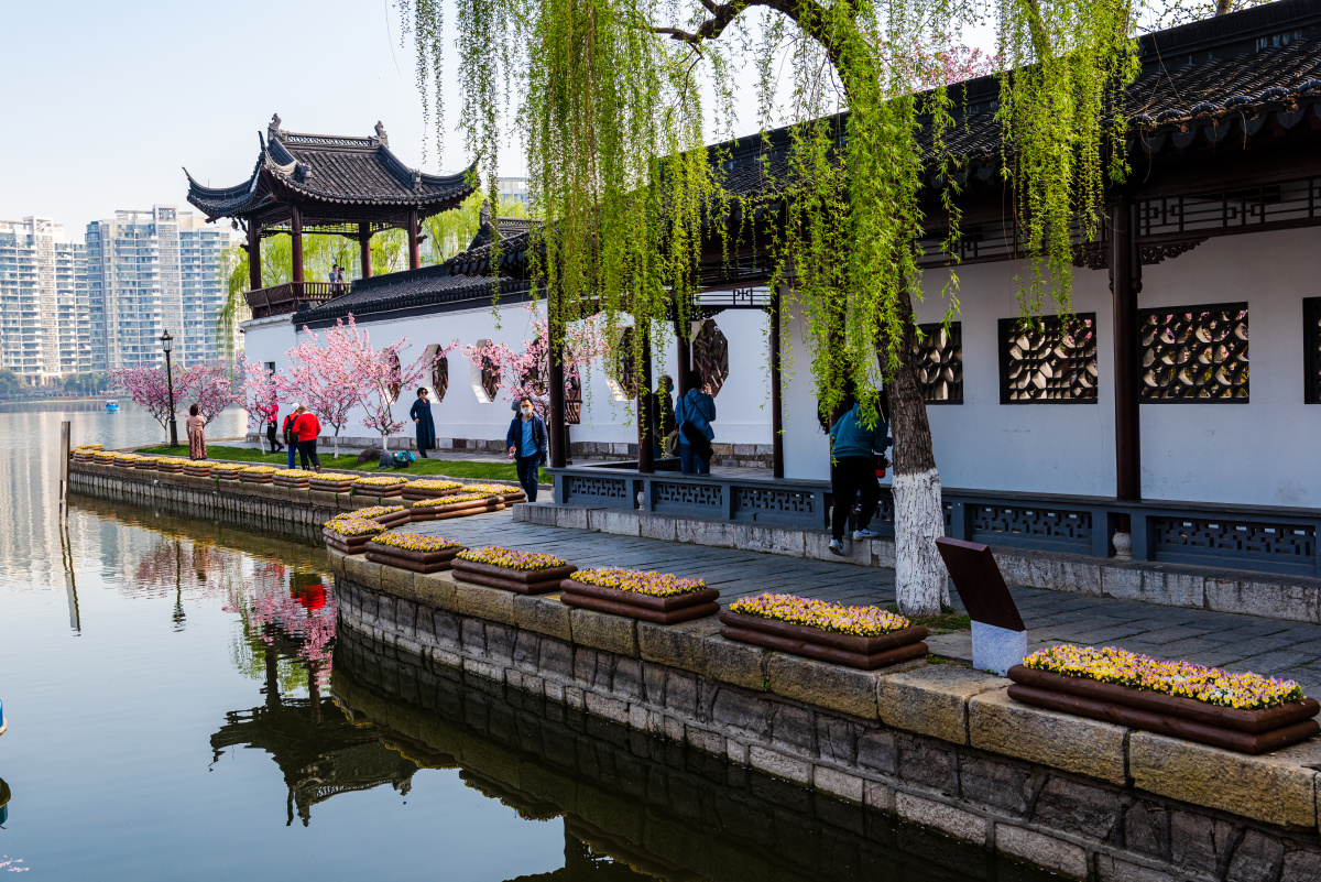 春莫愁南京莫愁湖公园