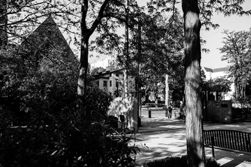 IMG_0071-1