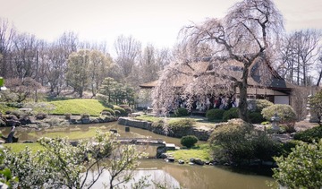 20170409-IMG_9831