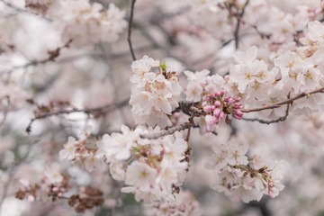 20170325-IMG_9528