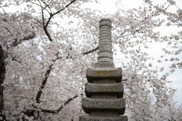 20170325-IMG_9556