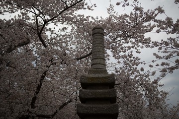 20170325-IMG_9555