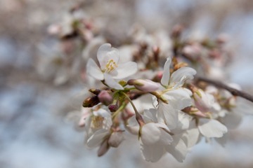 20170325-IMG_9428