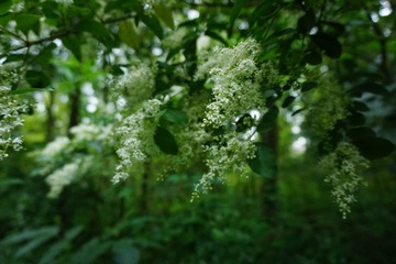 62D5B760-F75A-403C-8D06-F22594570F18/L0/001