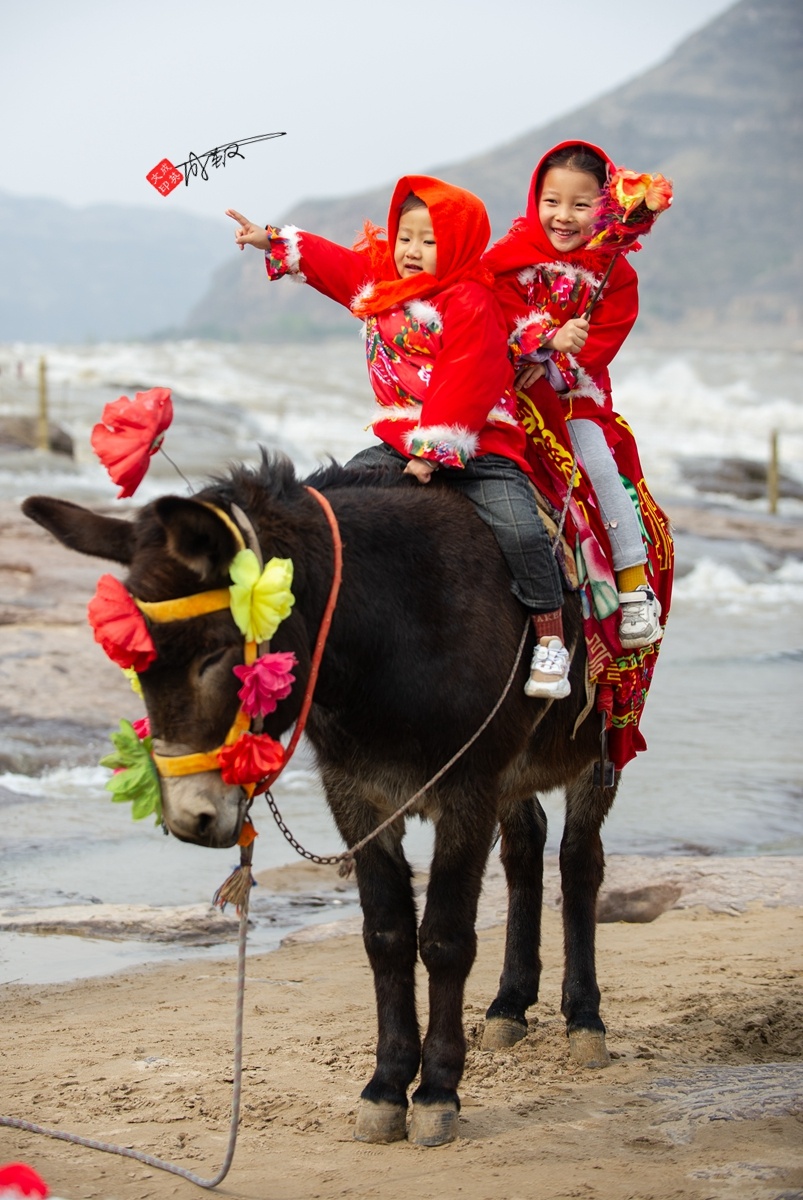 壶口瀑布的拍摄道具小毛驴多少年了