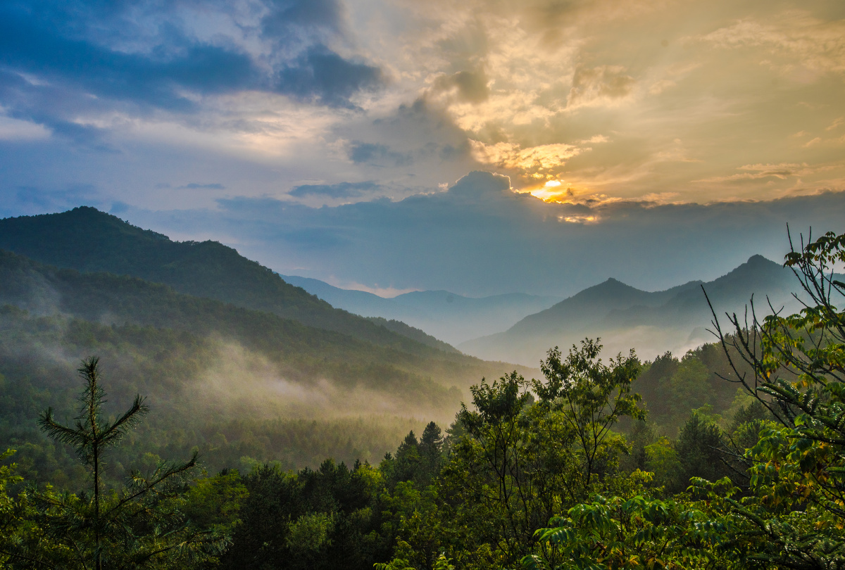 云雾缭绕的大巴山第二主峰化龙山