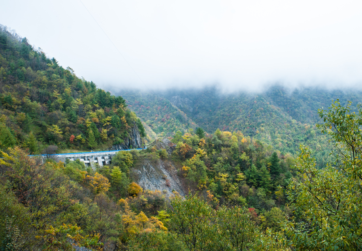 云雾缭绕的大巴山第二主峰化龙山