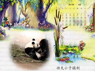 日历4