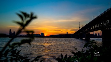 _DSC5386