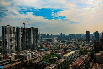公司窗外一角
