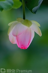 “_Uw7I6318”为智能对象-1