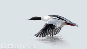 “_Uw7I6841”为智能对象-1
