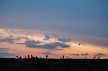 DSC_2974-1