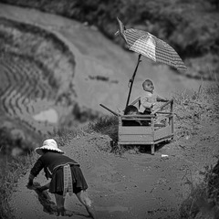 “DSC_7579”为智能对象-1
