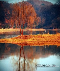 _MG_8721 _1