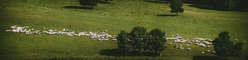 _MG_8605-Pano