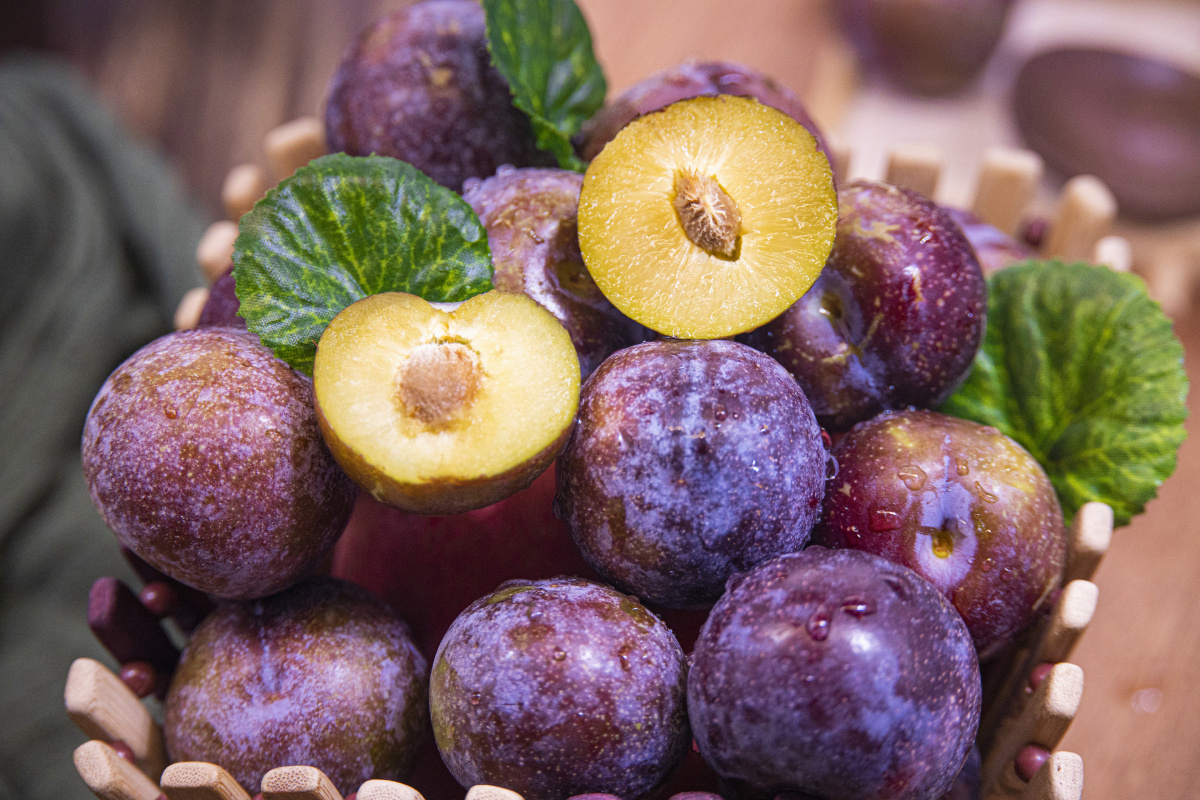 李子芙蓉李中国李水果特写