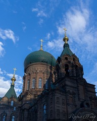 _DSC0411