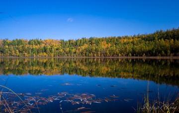 _DSC1053