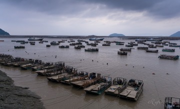_DSC3397