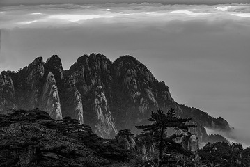 空中盆景