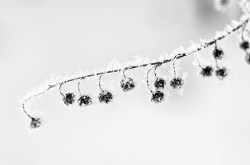 _0000232