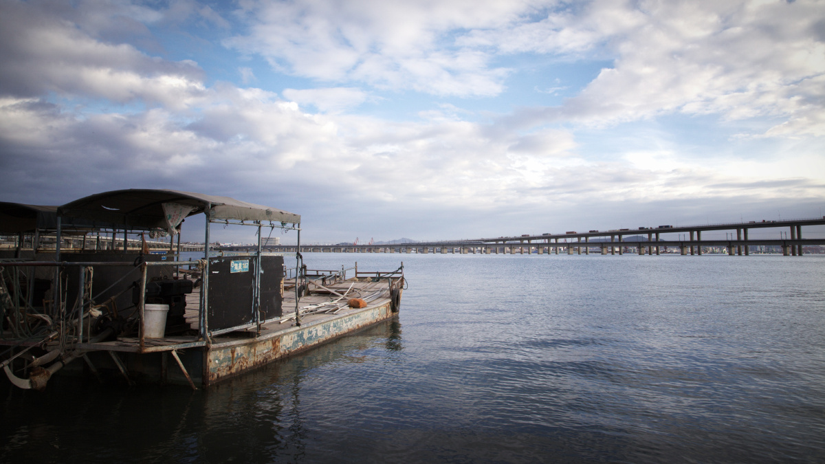 游- rascia - 图虫