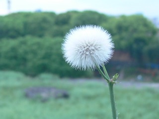 8A9B23B8-8DDD-4297-A89B-79BAA7022947/L0/001