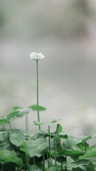1325301