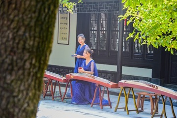 树下的琴手