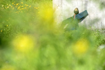 DSC_8187-1