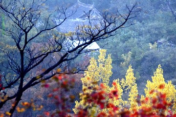 DSC_0907_1