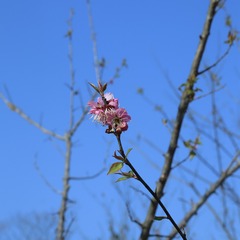 D90C9116-D6C2-4430-B268-13A15ADAAFAF/L0/001