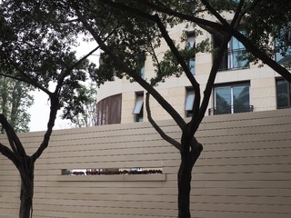 PB130951