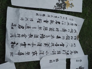 PA040713