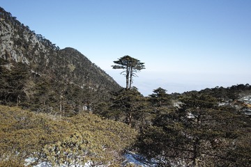 DP1Q0292